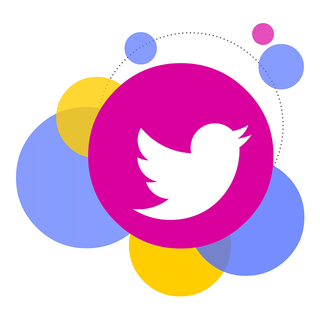 Twitter Logo Clipart - Social Media Marketing - Bloop Boost
